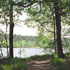 Stille Wilde